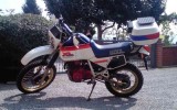 XL600LM